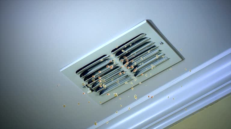 Best Home Air Vent Cleaning  in Heflin, AL